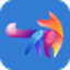 ExtFox